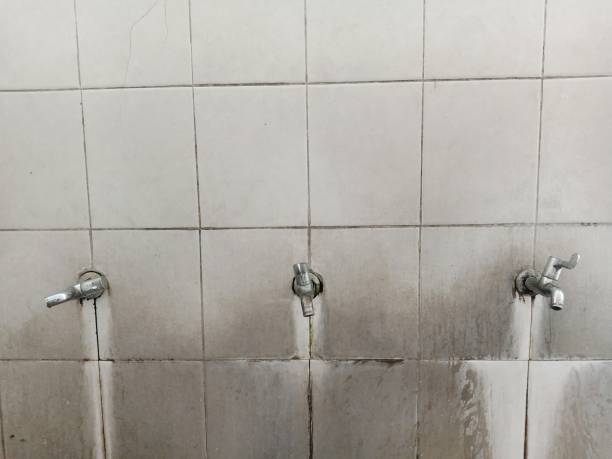 Best Flood restoration services  in Robinwood, MD