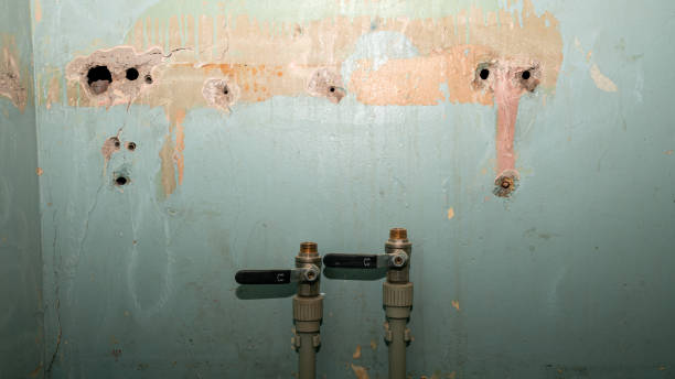 Best 24/7 water damage repair  in Robinwood, MD