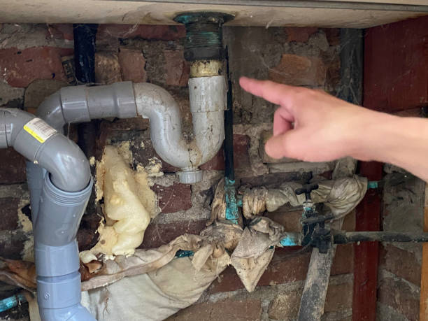 Best Flooded house restoration  in Robinwood, MD