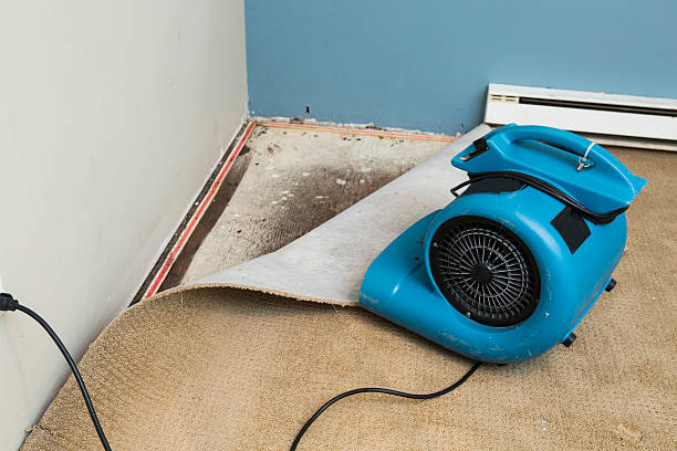  Robinwood, MD Water damage restoration Pros